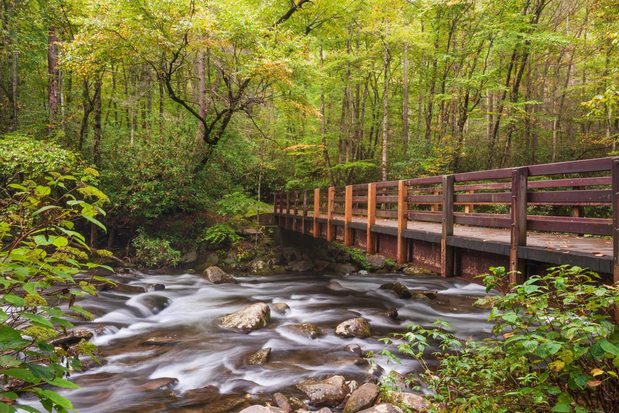 Time To Cuddle, Wifi, Near Pigeon Forge, 1089 Free Tickets Each Paid Day, Dollywood And More Exterior foto