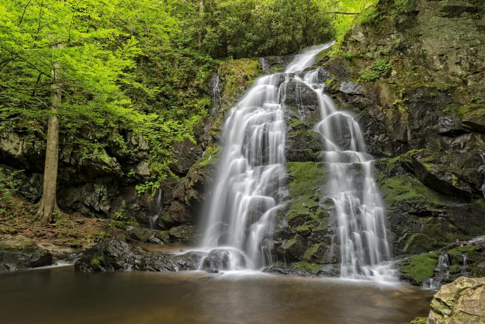 Time To Cuddle, Wifi, Near Pigeon Forge, 1089 Free Tickets Each Paid Day, Dollywood And More Exterior foto